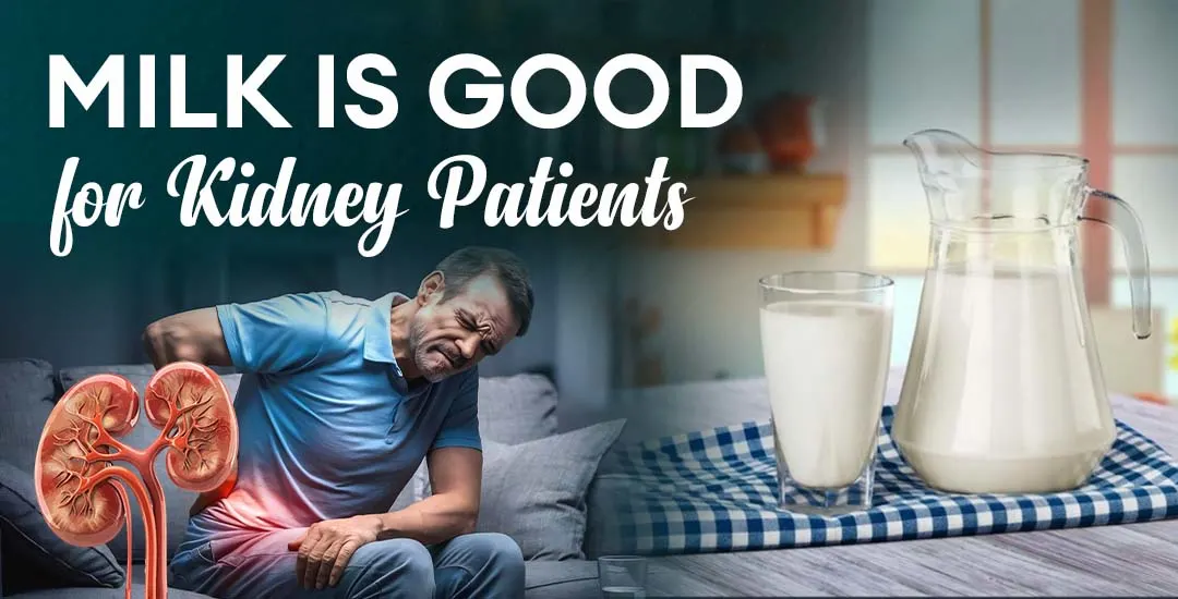 Which Milk is Good for Kidney Patients?